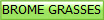 BROME GRASSES
