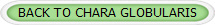 BACK TO CHARA GLOBULARIS