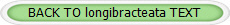 BACK TO longibracteata TEXT