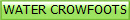 WATER CROWFOOTS